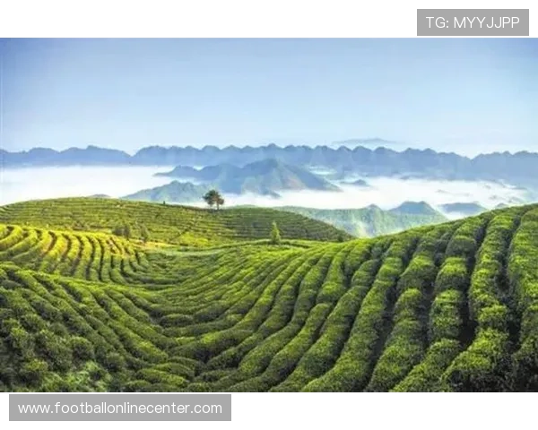 罗马俱乐部视角下全球可持续发展与生态文明建设研究